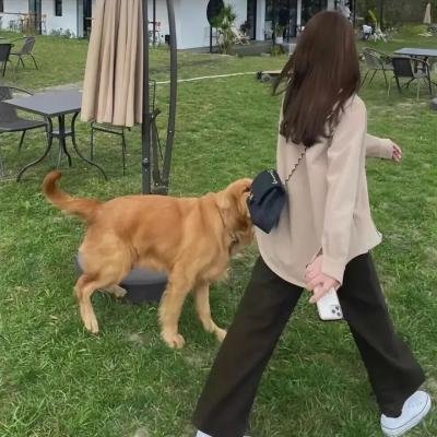 疯狂保姆